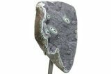 Gorgeous Amethyst Geode With Metal Stand #209228-2